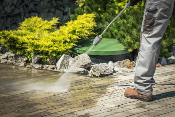 Best Sidewalk and Walkway Pressure Cleaning in Pine Bluffs, WY