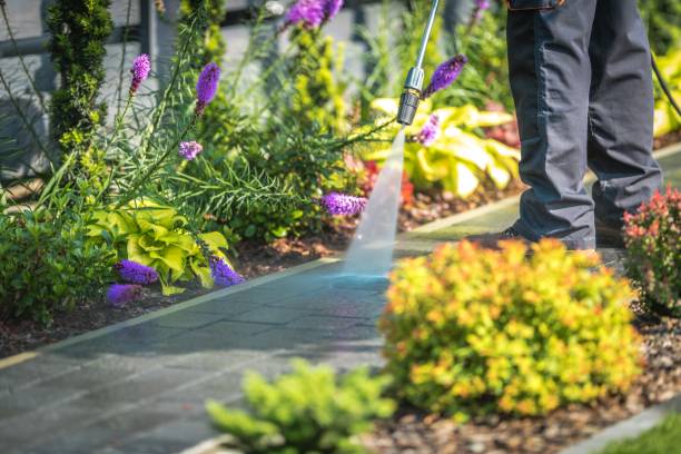 Best Pool Deck Cleaning in Pine Bluffs, WY